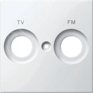 Центральная плата с маркировкой FM и TV белый (MTN299919) - Schneider Electric
