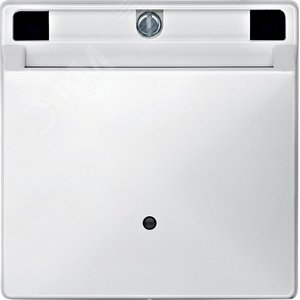 ЦЕНТР.ПЛАТА Д/КАРТОЧ. ВЫКЛ-ЛЯ, БЕЛЫЙ | MTN315319 | Schneider Electric - фото 2