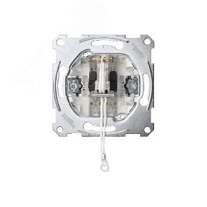MERTEN Meх-м 1-кл. 2-полюс. выключателя сх.2, 10A, со шнурком QF | MTN3182-0000 | Schneider Electric - фото 6