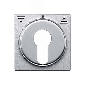 ЦЕНТР.ПЛАТА Д/МЕХ.КНОП.ВЫКЛ Д/ЗАМ.ЦИЛ.АН 7