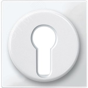 Ц. ПЛАТА ДЛЯ ПЕР-ЛЯ С ФИКСАТОРОМ | MTN319519 | Schneider Electric - фото 4