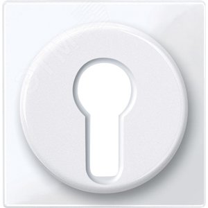 Ц. ПЛАТА ДЛЯ ПЕР-ЛЯ С ФИКСАТОРОМ | MTN319525 | Schneider Electric - фото 2