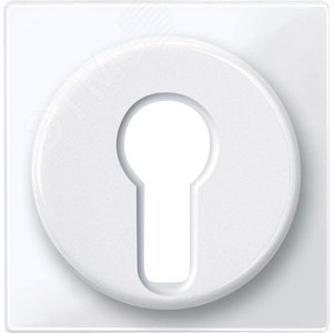 Ц. ПЛАТА ДЛЯ ПЕР-ЛЯ С ФИКСАТОРОМ | MTN319525 | Schneider Electric - фото 4