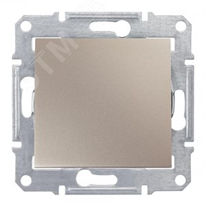 Выключатель одноклавишный, IP44, титан 2