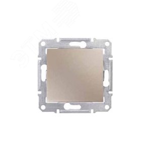 Выключатель одноклавишный, двухполюсный, титан 5