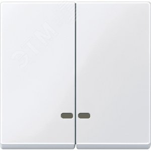 ДВЕ КЛАВИШИ С ОКОШ.Д/СВЕТ.ИНД.АКТ-БЕЛ | MTN3420-0325 | Schneider Electric - фото 2