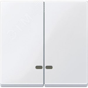 ДВЕ КЛАВИШИ С ОКОШ.Д/СВЕТ.ИНД.АКТ-БЕЛ | MTN3420-0325 | Schneider Electric - фото 4