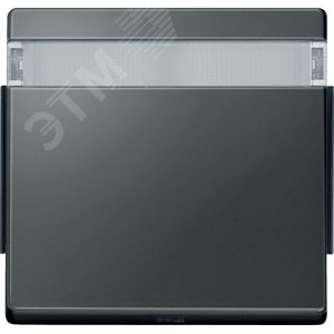 Клавиша с полем для надписи антрацит (MTN343914) 2