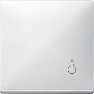 Клавиша с маркировкой СВЕТ белый 2