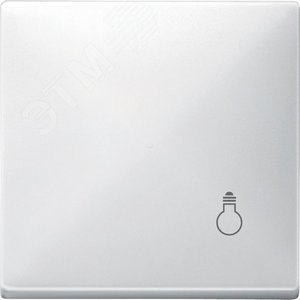 Клавиша с маркировкой СВЕТ белый 4