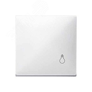 Клавиша с маркировкой СВЕТ белый 7