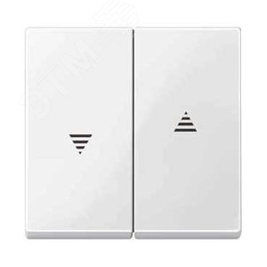 КЛАВИША Х2 ДЛЯ ЖАЛЮЗИ И КНОП., БЕЛЫЙ БЛЕСТЯЩИЙ | MTN432419 | Schneider Electric 3