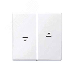 КЛАВИША X2 ДЛЯ РОЛЬСТАВНЕЙ, БЕЛЫЙ | MTN432425 | Schneider Electric 8