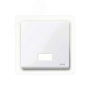 Клавиша с окошком для светоиндикатора с полем для надписи белый 8