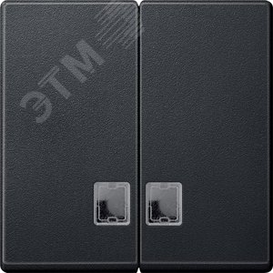 Антрацит Две клавиши с окошком.для световой индикации Merten SM | MTN437514 | Schneider Electric - фото 4
