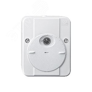 Выключатель сумеречный ARGUS белый 7