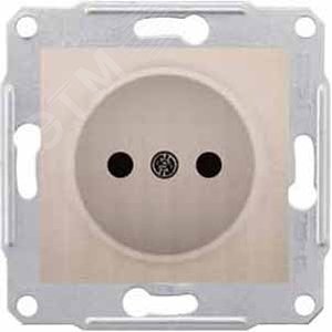 Розетка без заземления без шторок титан (SDN2900168) 4