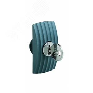МАЛ. ПЛАСТИНА С ЗАМКОМ+КЛЮЧ 405Е | NSYML405SD | Schneider Electric - фото 2