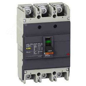 АВТ. ВЫКЛ. EZC250F 18 кА/400В 3П3Т 160 A | EZC250F3160 | Schneider Electric - фото 7