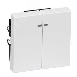 ДВЕ КЛАВИШИ С ОКОШ.Д/СВЕТ.ИНД.АКТ-БЕЛ | MTN3420-0325 | Schneider Electric - фото 6