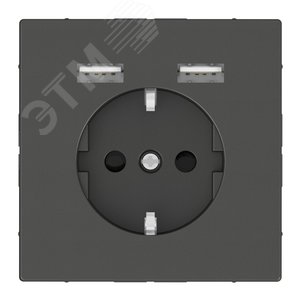 Розетка Schuko MERTEN SDL с 2 USB c зарядным устройством 2.4 A антрацит (MTN2366-6034)