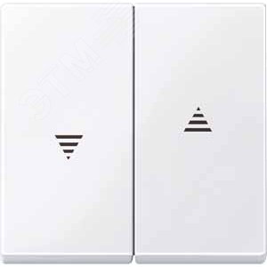 КЛАВИША X2 ДЛЯ РОЛЬСТАВНЕЙ, БЕЛЫЙ | MTN432425 | Schneider Electric 5