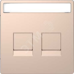 D-Life ЦЕНТРАЛЬНАЯ НАКЛАДКА д/2-х модульных разъемов, ШАМПАНЬ , SD | MTN4564-6051 | Schneider Electric - Schneider Electric