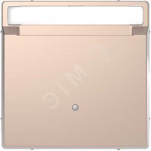 D-Life ВЫКЛЮЧАТЕЛЬ с ключюм-картой д/гостиниц, ШАМПАНЬ , SD | MTN3854-6051 | Schneider Electric - Schneider Electric