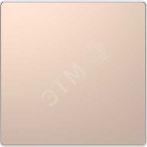 D-Life ЗАГЛУШКА, ШАМПАНЬ , SD | MTN4075-6051 | Schneider Electric - Schneider Electric