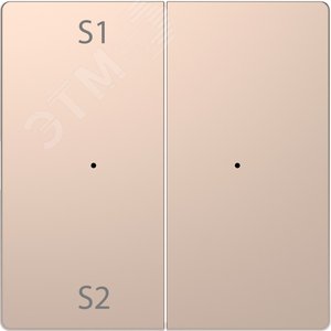 Клавиша D-Life PlusLink 2-ная с S1/S2 пусто шампань SD (MTN5226-6051) - Schneider Electric