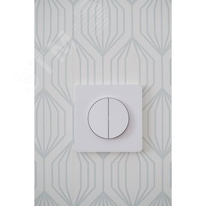 Odace Белый Выключатель 2-клавишный 10А | S52R211 | Schneider Electric - фото 7