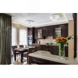 Выключатель одноклавишный, в рамку, бежевый (MGU5.201.25ZD) 8