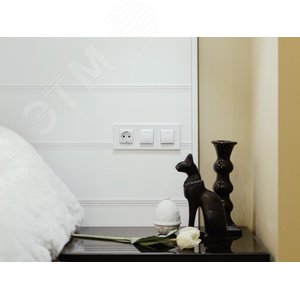 UNICA Розетка в рамку с заземлением белая (MGU5.036.18ZD) 10