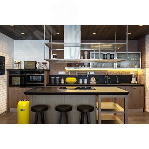 Sys M Розетка с заземлением со шторками в рамку алюминий SCHUKO (MTN2300-0460) 10