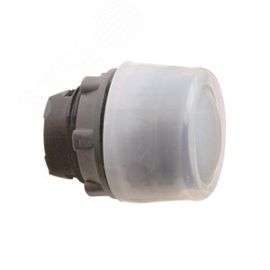 ГОЛОВКА ДЛЯ КНОПКИ 22ММ С ВОЗВРАТОМ ZB5AP2 | ZB5AP2 | Schneider Electric - фото 3