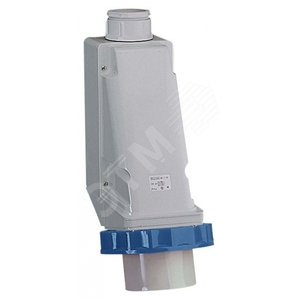 Вилка настенная винтовая 63А 2P+E IP67 220В - Schneider Electric