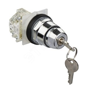 Ключ на 2 положения 9001KS11K1H36