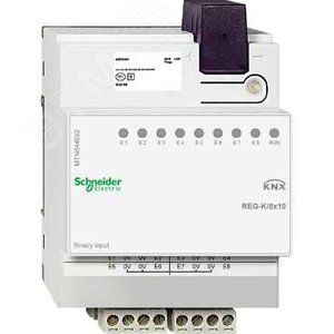 БИНАРНЫЙ ВХОД REG-K/8X10 - фото 5