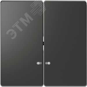 D-Life КЛАВИША 2-ная с линзой для LED модуля, АНТРАЦИТ , SD - фото 2