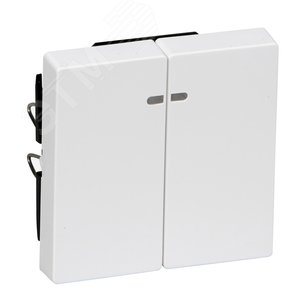 ДВЕ КЛАВИШИ С ОКОШ.Д/СВЕТ.ИНД.АКТ-БЕЛ | MTN3420-0325 | Schneider Electric - фото 3