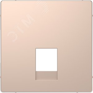 Накладка центральная D-Life для розетки двойной RJ11/RJ12 шампань SD (MTN4215-6051)