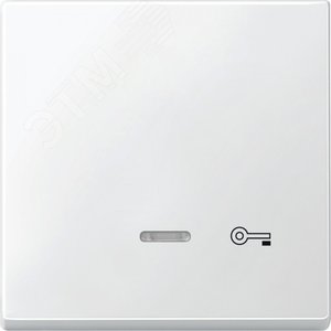 КЛАВИША С СВЕТ. ИНДИК., "ДВЕРЬ" | MTN437619 | Schneider Electric - фото 3