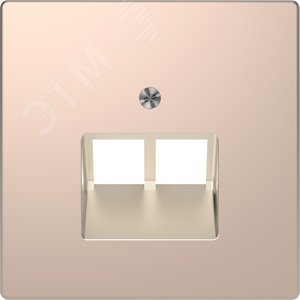 Накладка центральная D-Life для розетки двойной RJ45 шампань SD (MTN4522-6051)