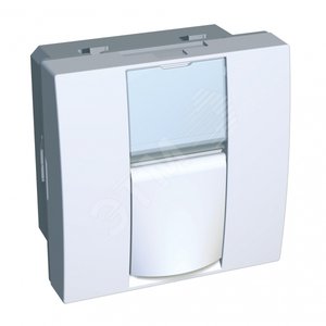 RJ45 KEYSTONE-AMP НАКЛАДКА-ДЕРЖАТЕЛЬ (ALB45380) - Schneider Electric