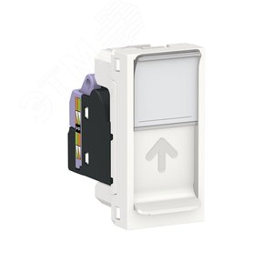 Розетка UNICA MODULAR компьютерная RJ45 одиночная категория 6 UTP 1 модуль белый (NU341418)