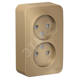 Blanca О/У без пласт. Титан Розетка 2-ая б/з со шторками, 16А, 250В | BLNRA001204 | Schneider Electric - Schneider Electric