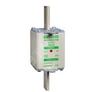 ПРЕДОХРАНИТЕЛЬ ТИП GG,РАЗМЕР 1.250А | DF2KA1401 | Schneider Electric - Schneider Electric