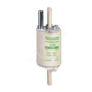 ПРЕДОХРАНИТЕЛЬ | DF4LA1101 | Schneider Electric - Schneider Electric