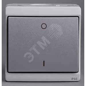 Mureva Двухполюсный выключатель открытой установки серый в сборе IP55 (ENN35733) - Schneider Electric