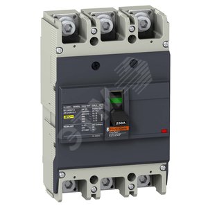 АВТ. ВЫКЛ. EZC250F 18 кА/400В 3П3Т 160 A | EZC250F3160 | Schneider Electric - Schneider Electric